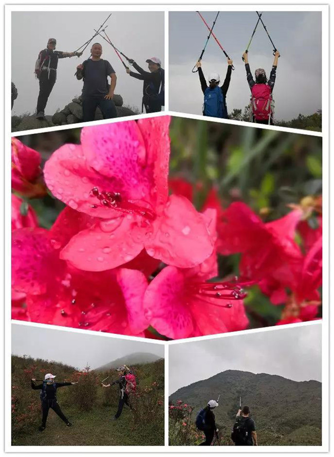 3月29日，云浮新興縣登天麓山&賞杜鵑花