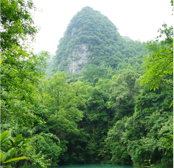 賞華夏大地，游多彩貴州-－2021年廣東博皓快樂行-2
