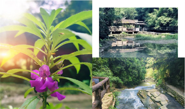 “湘”約鳳凰，相守未來(lái)——2022博皓快樂湖南行    -34
