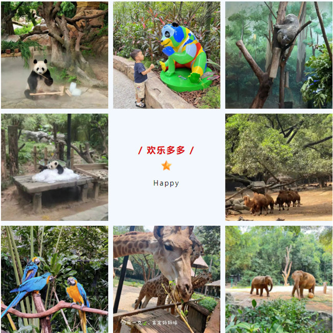 大手牽小手，快樂親子游！廣東博皓2023年親子游活動(dòng)        -8