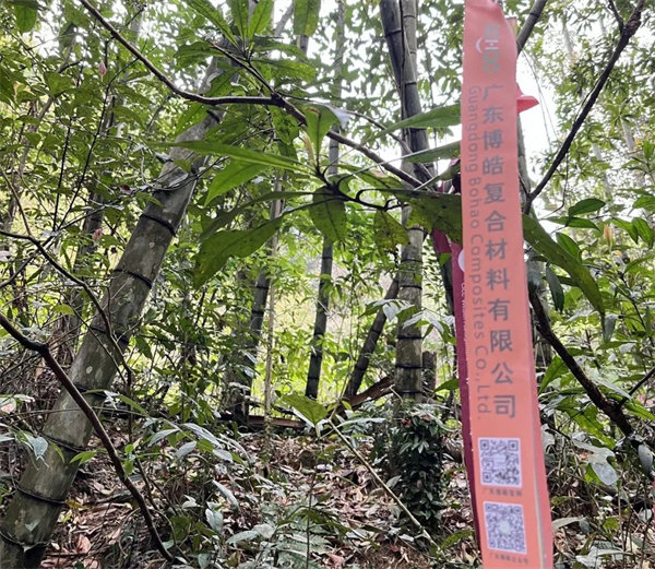 凝心聚力再出發(fā)，風(fēng)雨同舟赴星溪！--廣東博皓2024龍年首登星溪之旅     -2