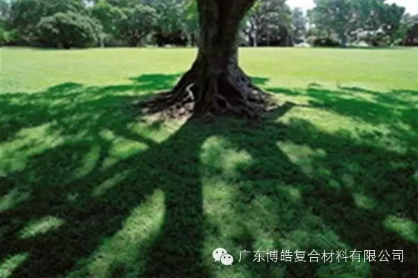 【博皓感悟】欲為大樹，莫與草爭-6
